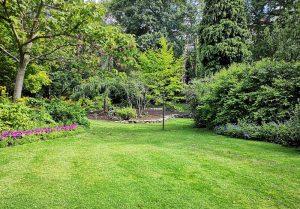Optimiser l'expérience du jardin à Saint-Georges-Armont